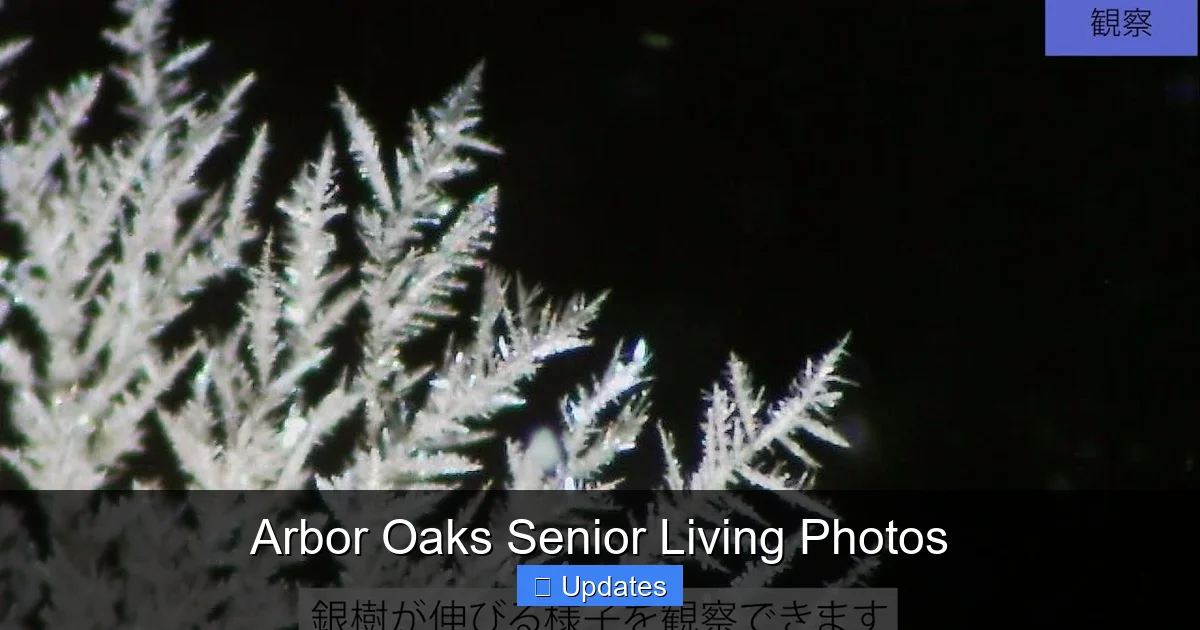 Arbor Oaks Senior Living Photos