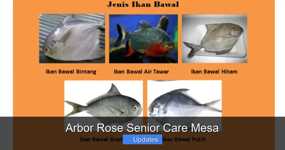 Arbor Rose Senior Care Mesa