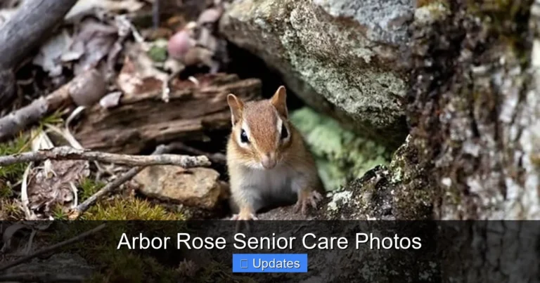 Arbor Rose Senior Care Photos