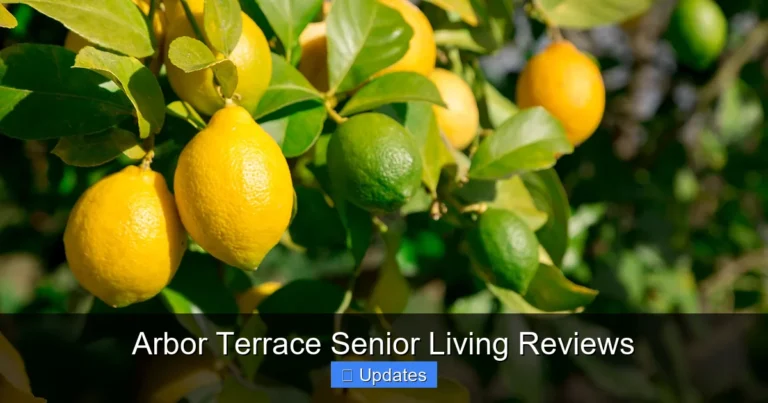 Arbor Terrace Senior Living Reviews