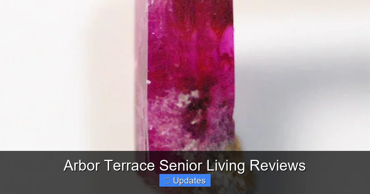 Arbor Terrace Senior Living Reviews
