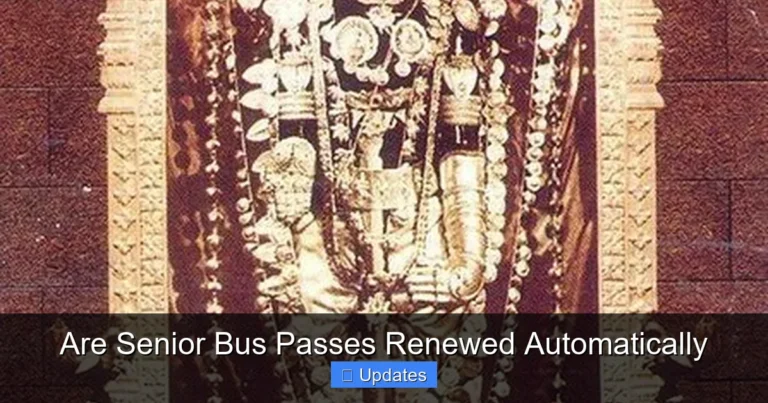 Are Senior Bus Passes Renewed Automatically
