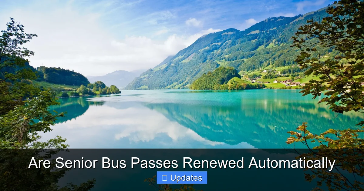 Are Senior Bus Passes Renewed Automatically