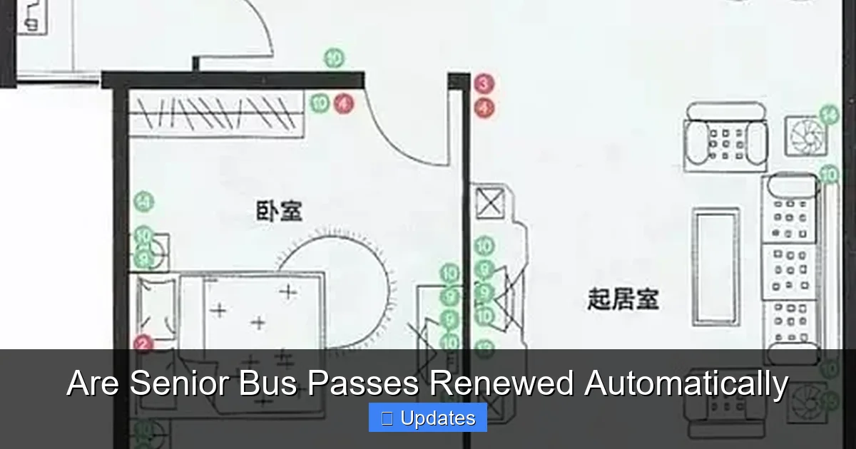 Are Senior Bus Passes Renewed Automatically