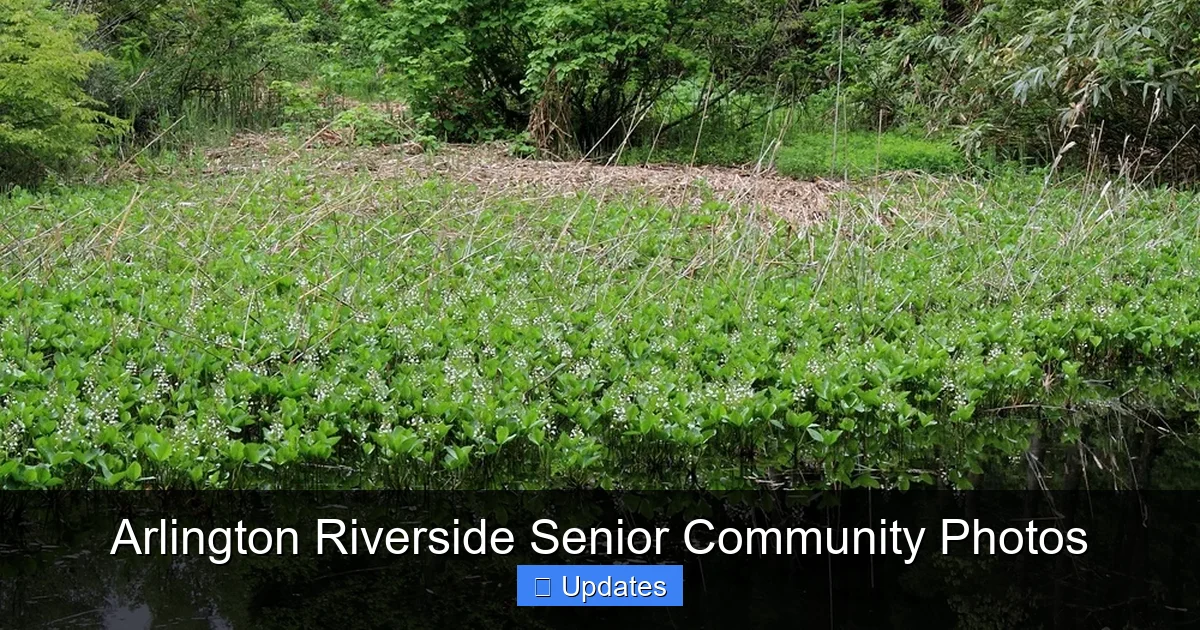 Arlington Riverside Senior Community Photos