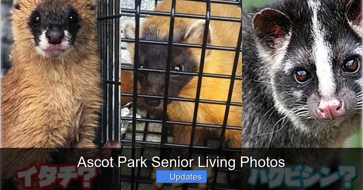 Ascot Park Senior Living Photos