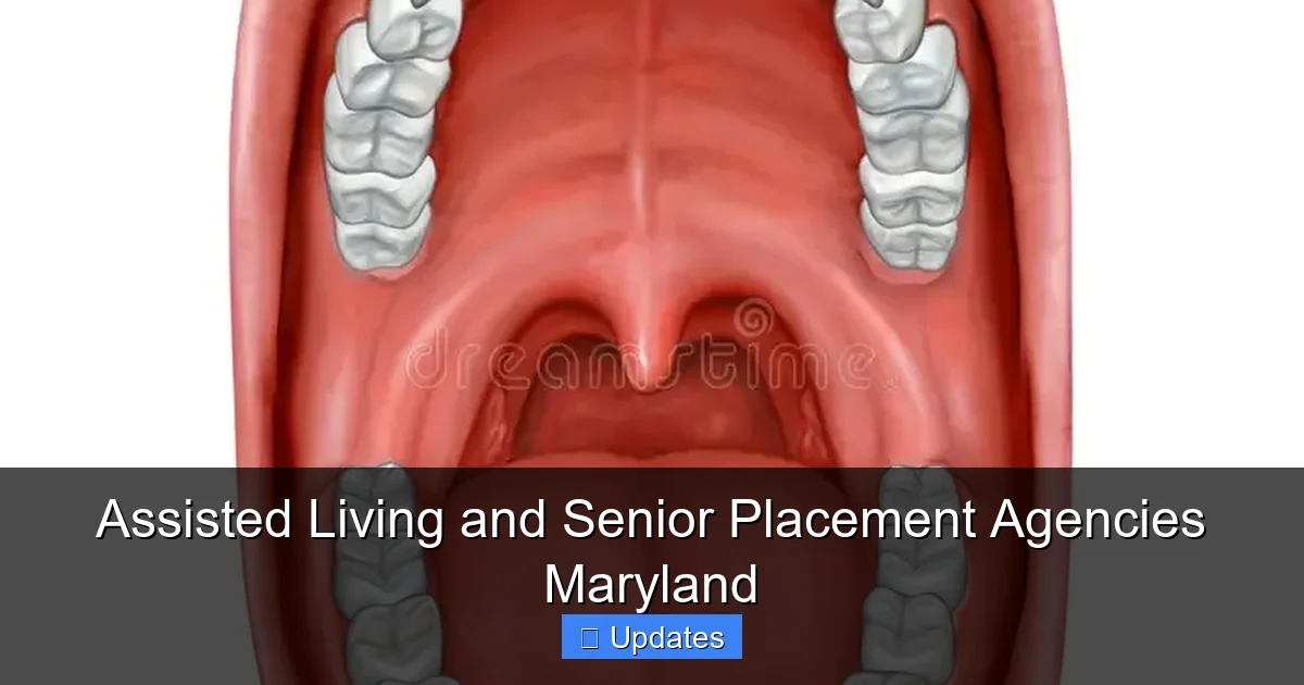 Assisted Living and Senior Placement Agencies Maryland
