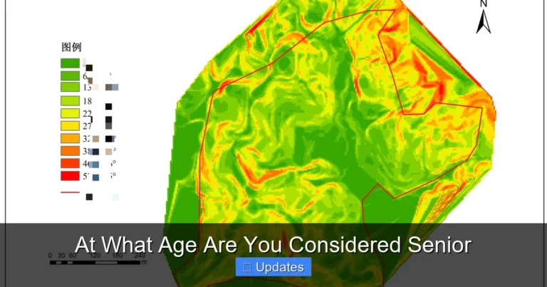 At What Age Are You Considered Senior