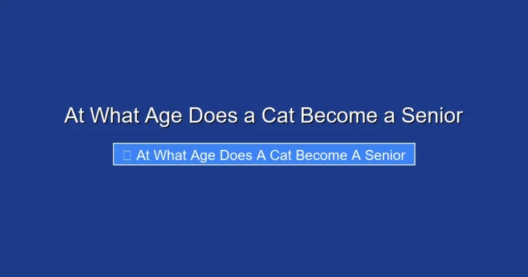 At What Age Does a Cat Become a Senior