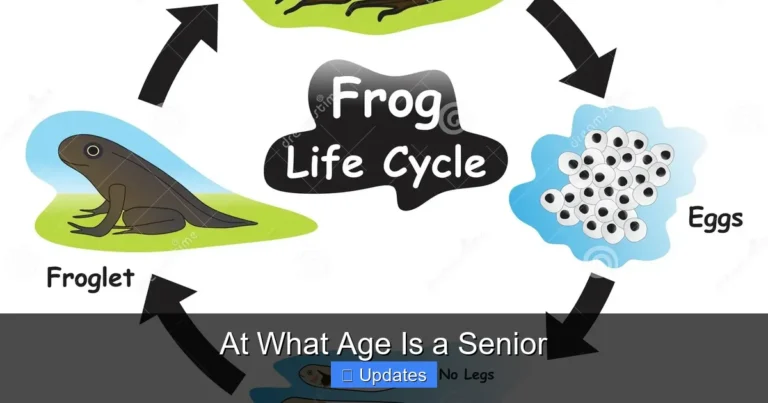 At What Age Is a Senior