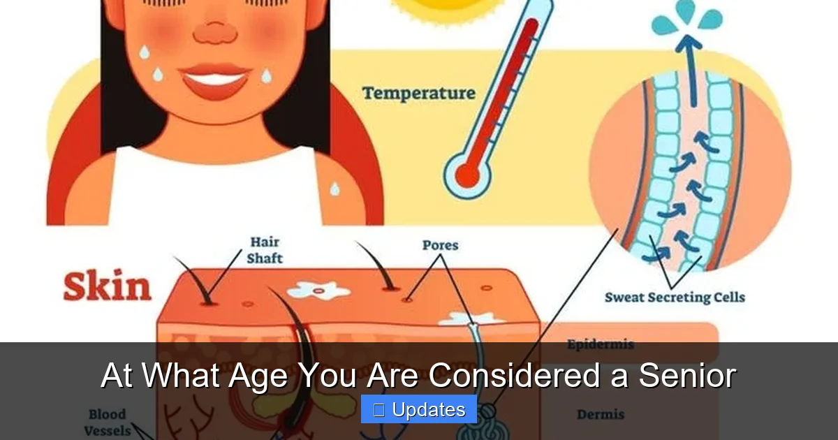 At What Age You Are Considered a Senior