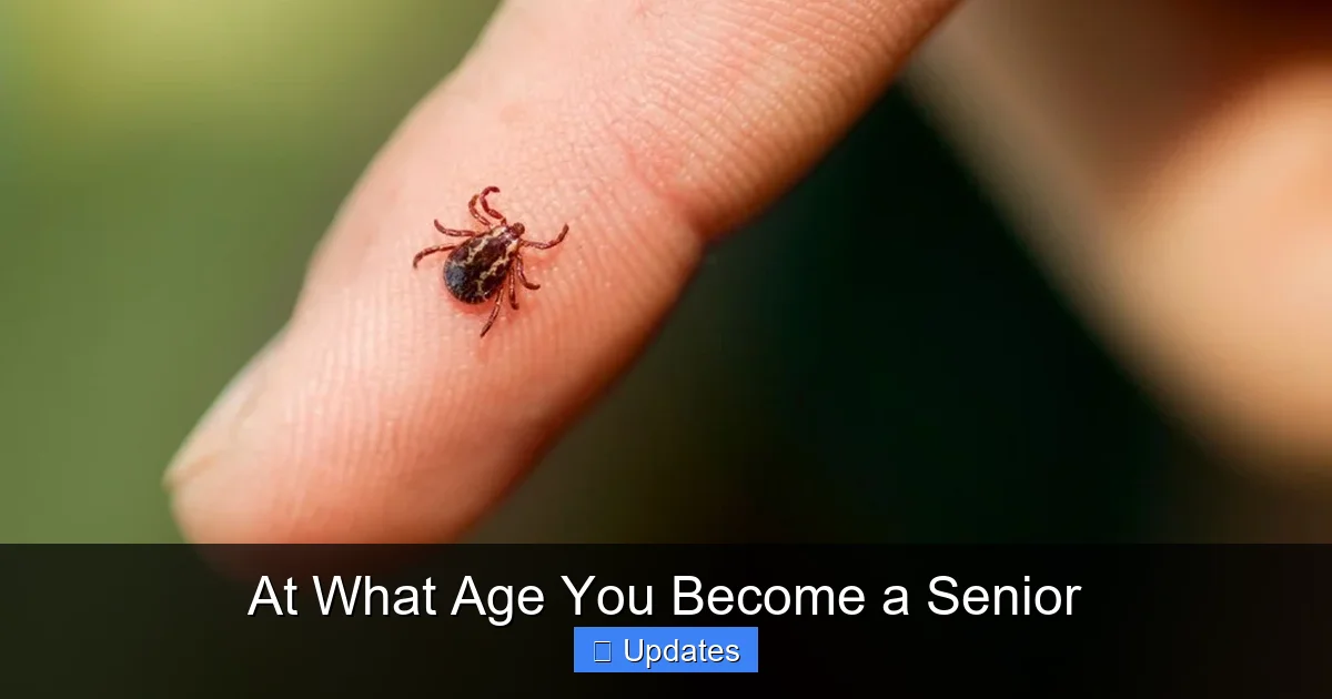 At What Age You Become a Senior