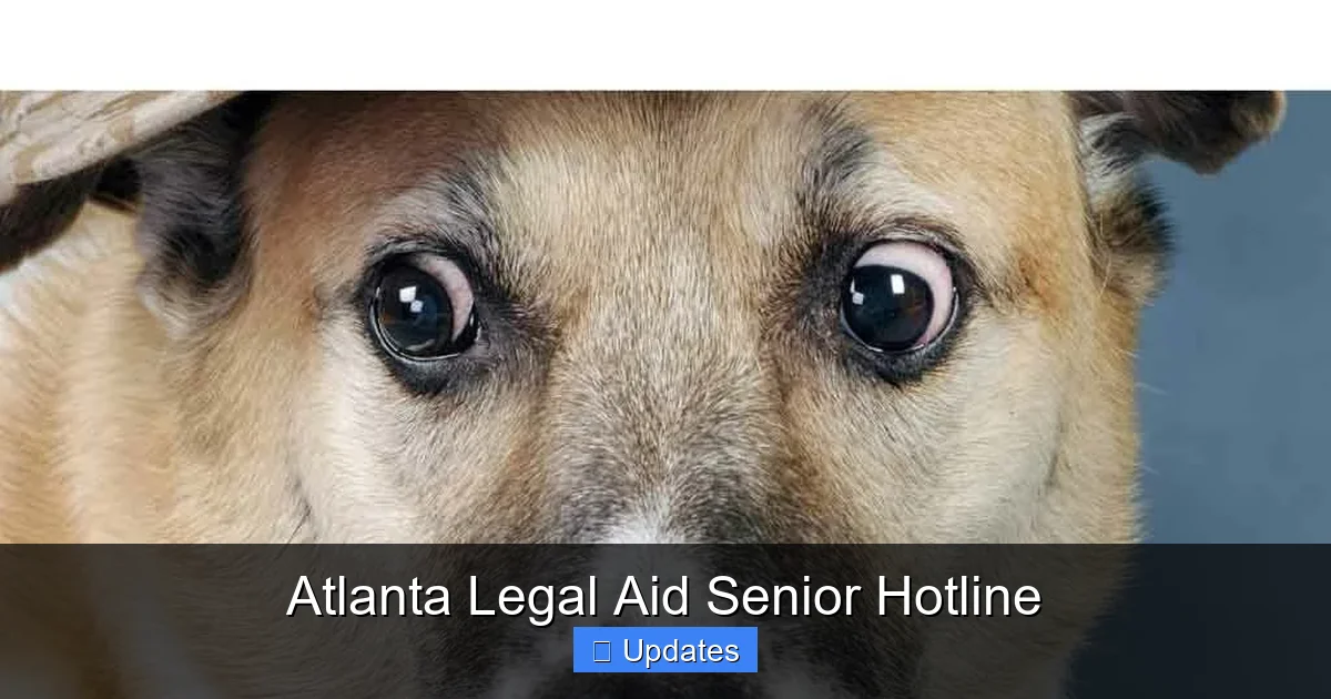 Atlanta Legal Aid Senior Hotline