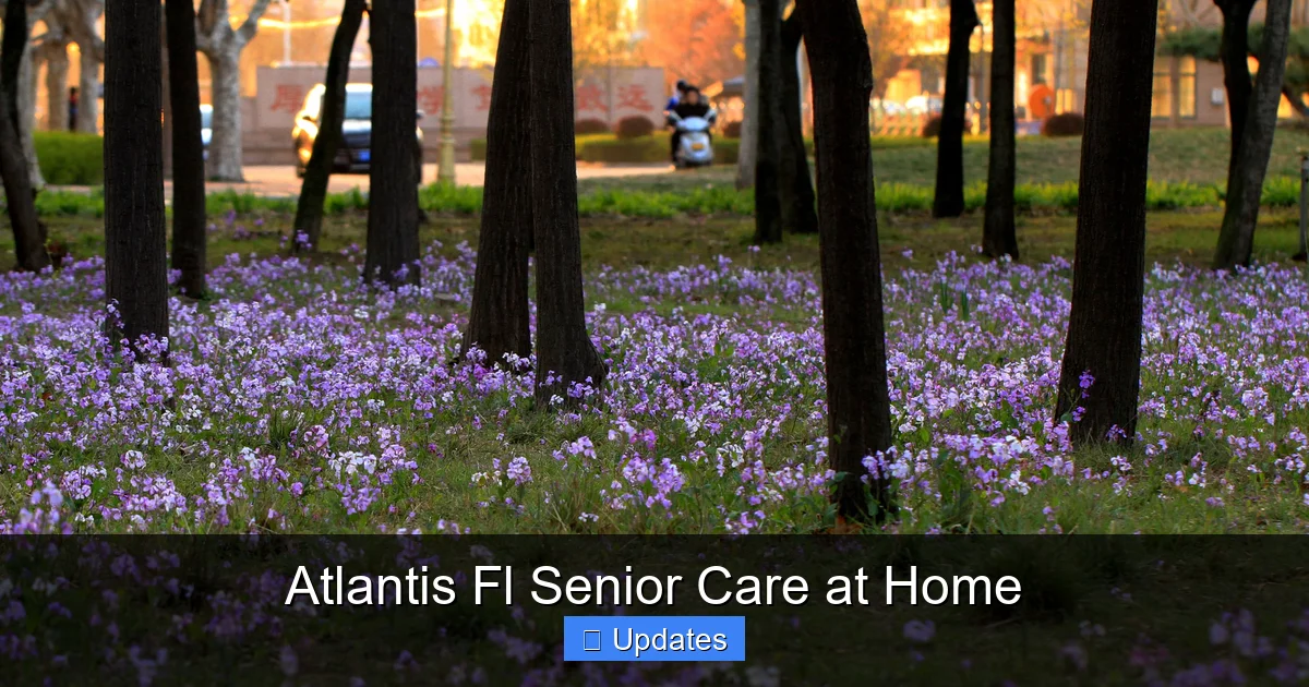 Atlantis Fl Senior Care at Home