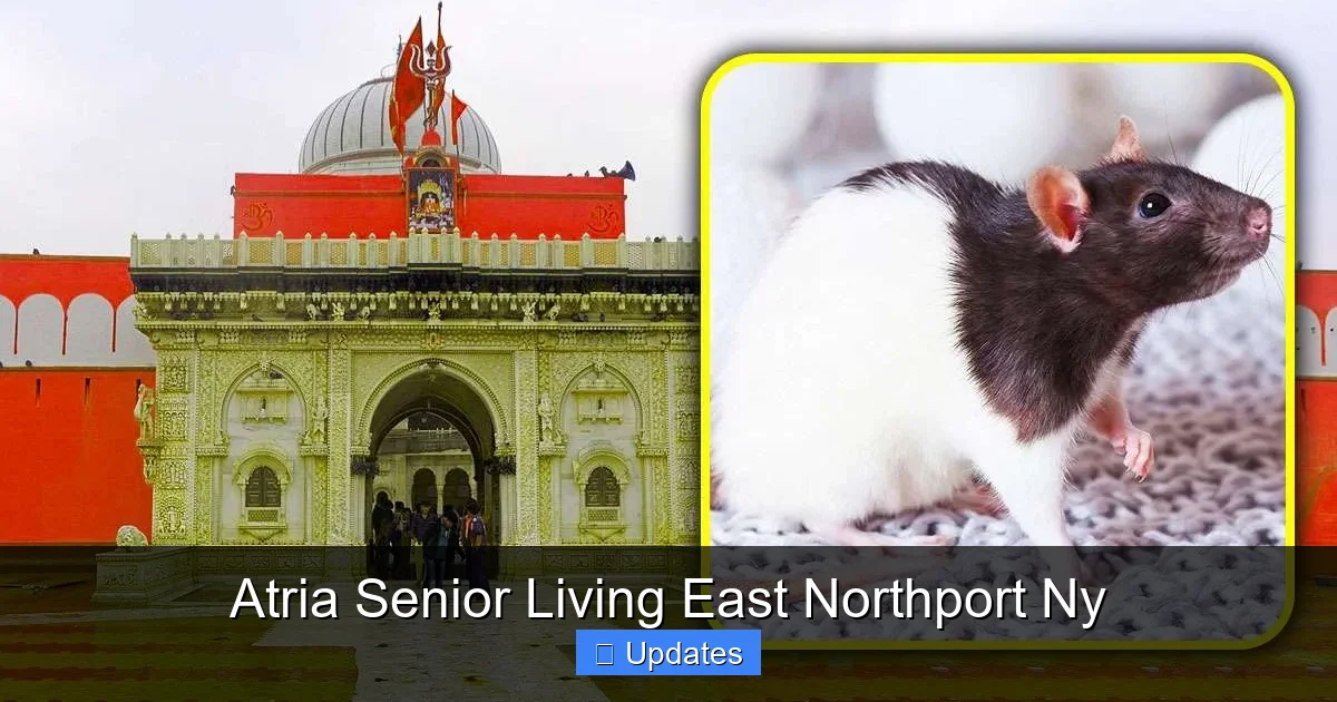 Atria Senior Living East Northport Ny