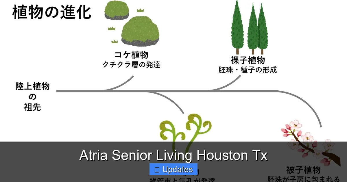 Atria Senior Living Houston Tx