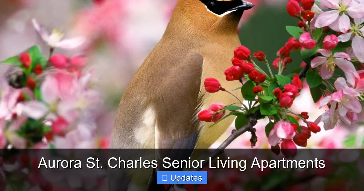 Aurora St. Charles Senior Living Apartments