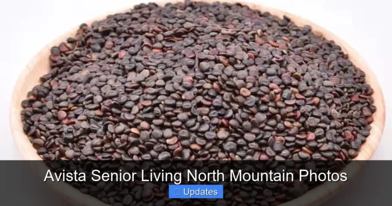 Avista Senior Living North Mountain Photos