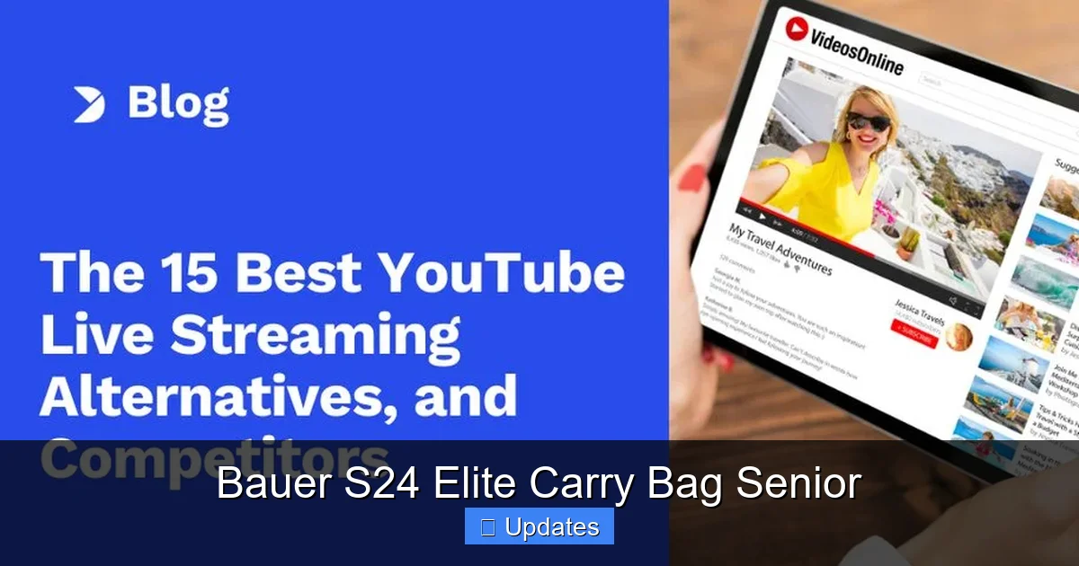 Bauer S24 Elite Carry Bag Senior