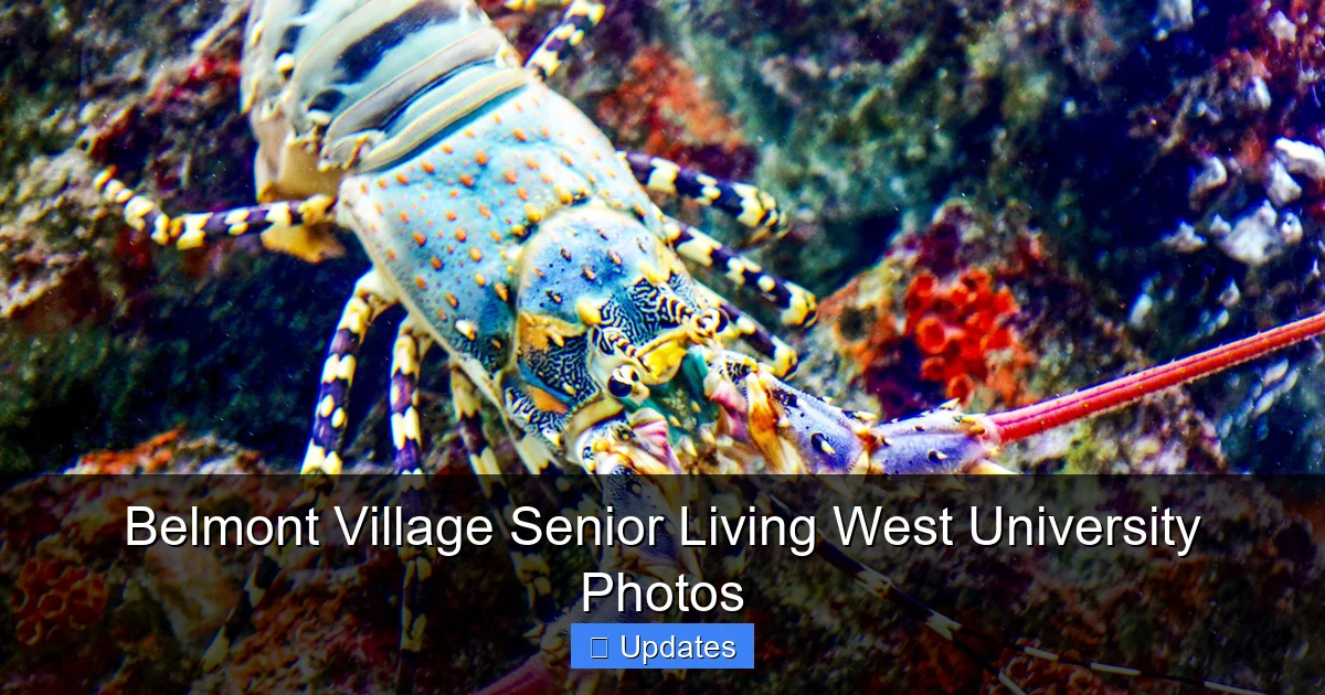 Belmont Village Senior Living West University Photos