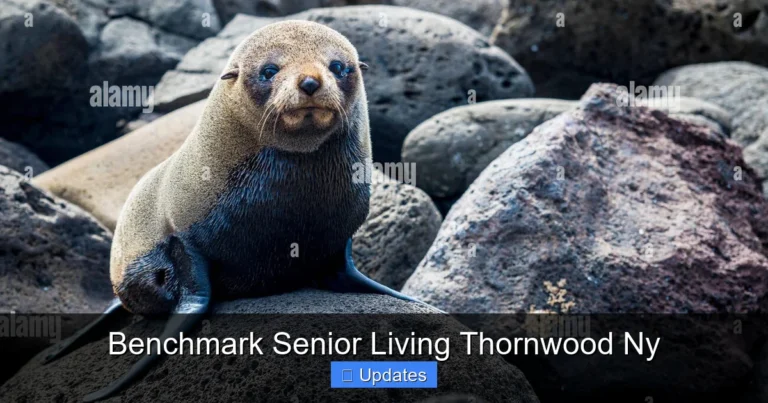 Benchmark Senior Living Thornwood Ny