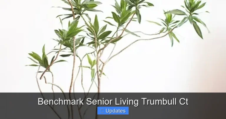 Benchmark Senior Living Trumbull Ct
