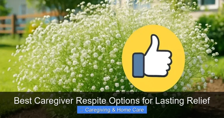 Best Caregiver Respite Options for Lasting Relief