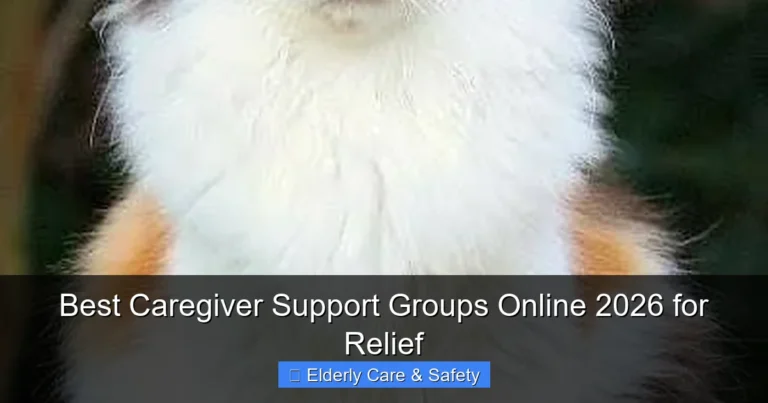 Best Caregiver Support Groups Online 2026 for Relief