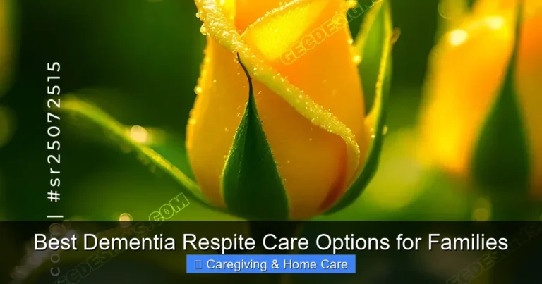 Best Dementia Respite Care Options for Families