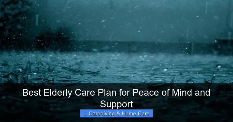Best Elderly Care Plan for Peace of Mind and Support