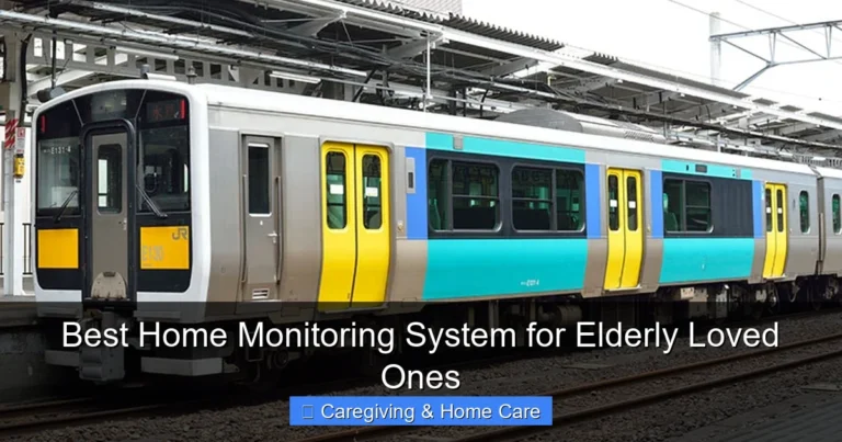 Best Home Monitoring System for Elderly Loved Ones