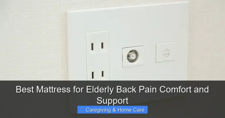 Best Mattress for Elderly Back Pain Comfort and Support
