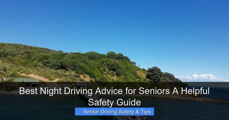 Best Night Driving Advice for Seniors A Helpful Safety Guide