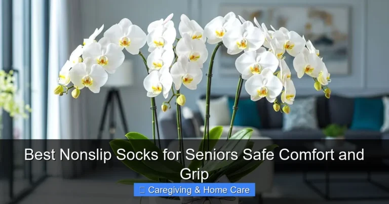 Best Nonslip Socks for Seniors Safe Comfort and Grip