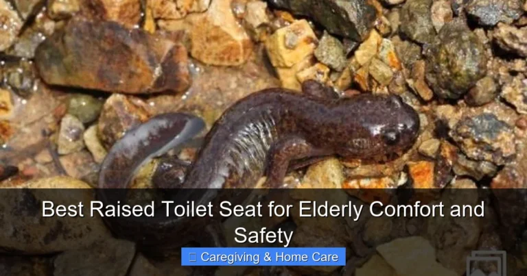 Best Raised Toilet Seat for Elderly Comfort and Safety