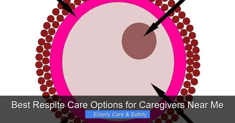 Best Respite Care Options for Caregivers Near Me