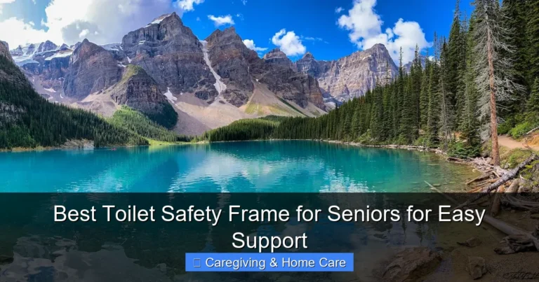 Best Toilet Safety Frame for Seniors for Easy Support