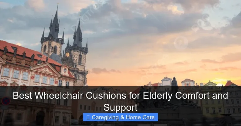 Best Wheelchair Cushions for Elderly Comfort and Support