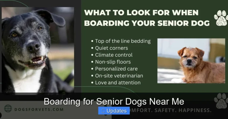 Boarding for Senior Dogs Near Me