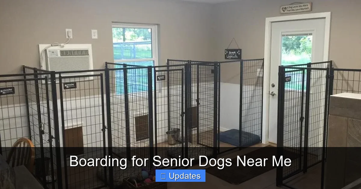Boarding for Senior Dogs Near Me