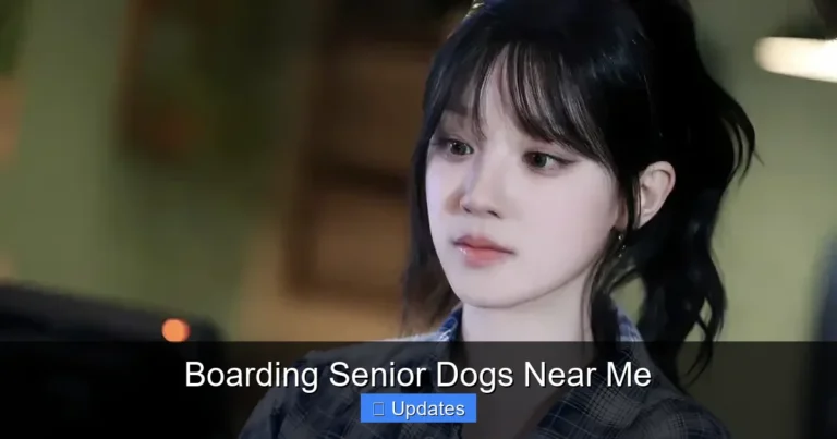 Boarding Senior Dogs Near Me