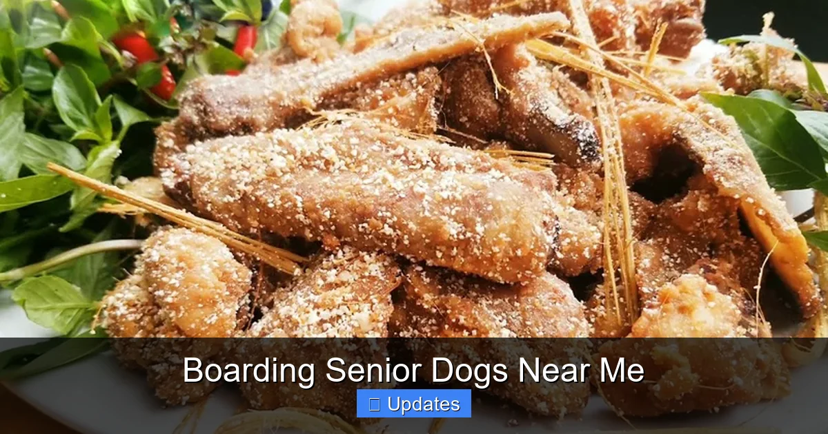 Boarding Senior Dogs Near Me