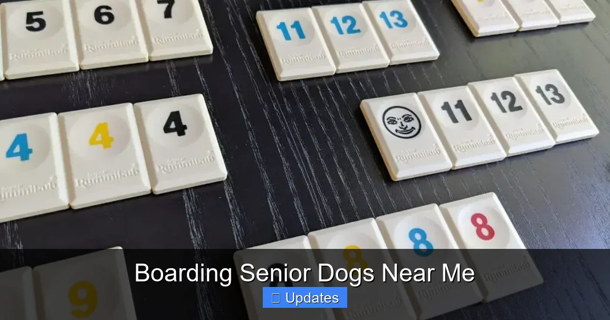 Boarding Senior Dogs Near Me