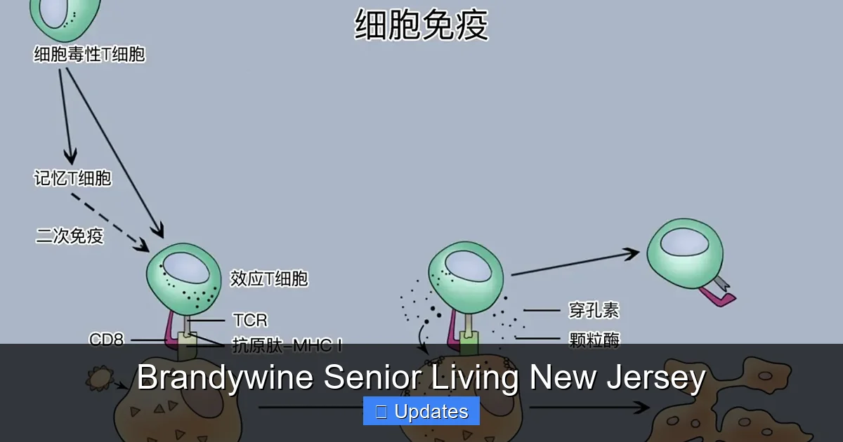 Brandywine Senior Living New Jersey