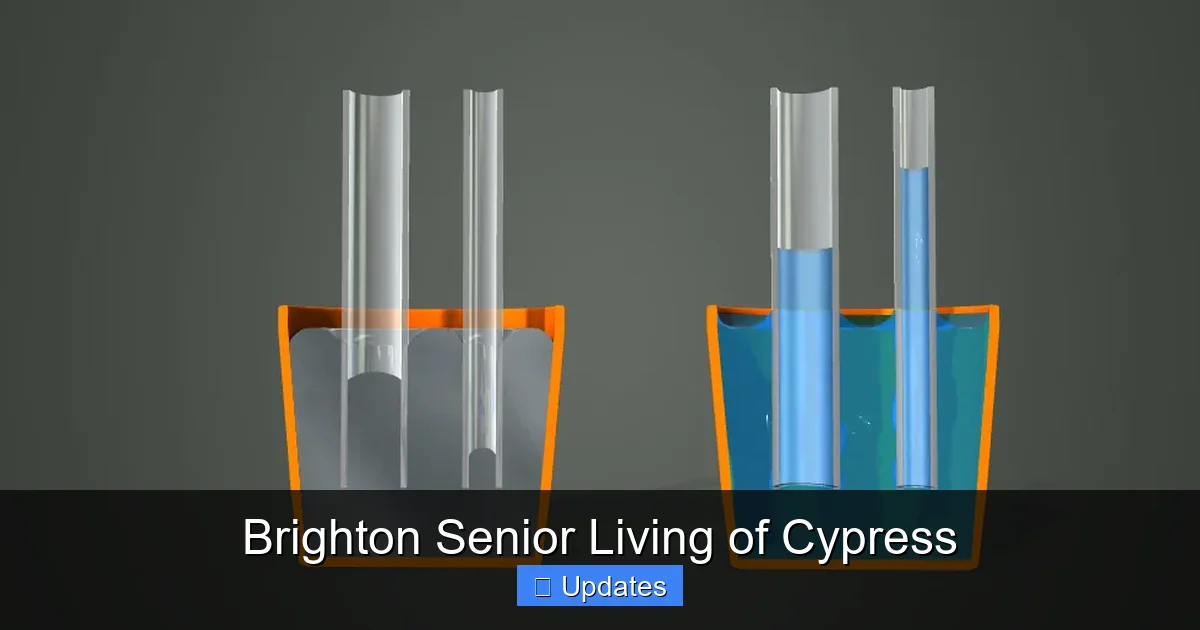 Brighton Senior Living of Cypress