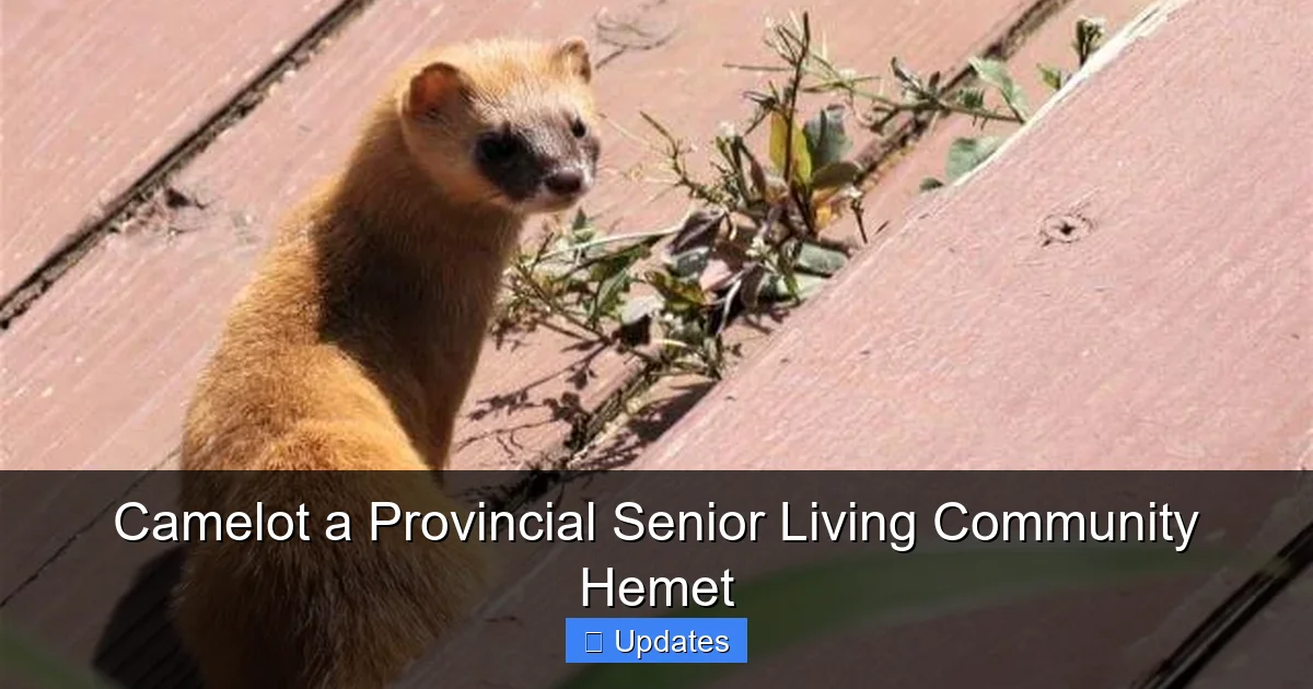 Camelot a Provincial Senior Living Community Hemet