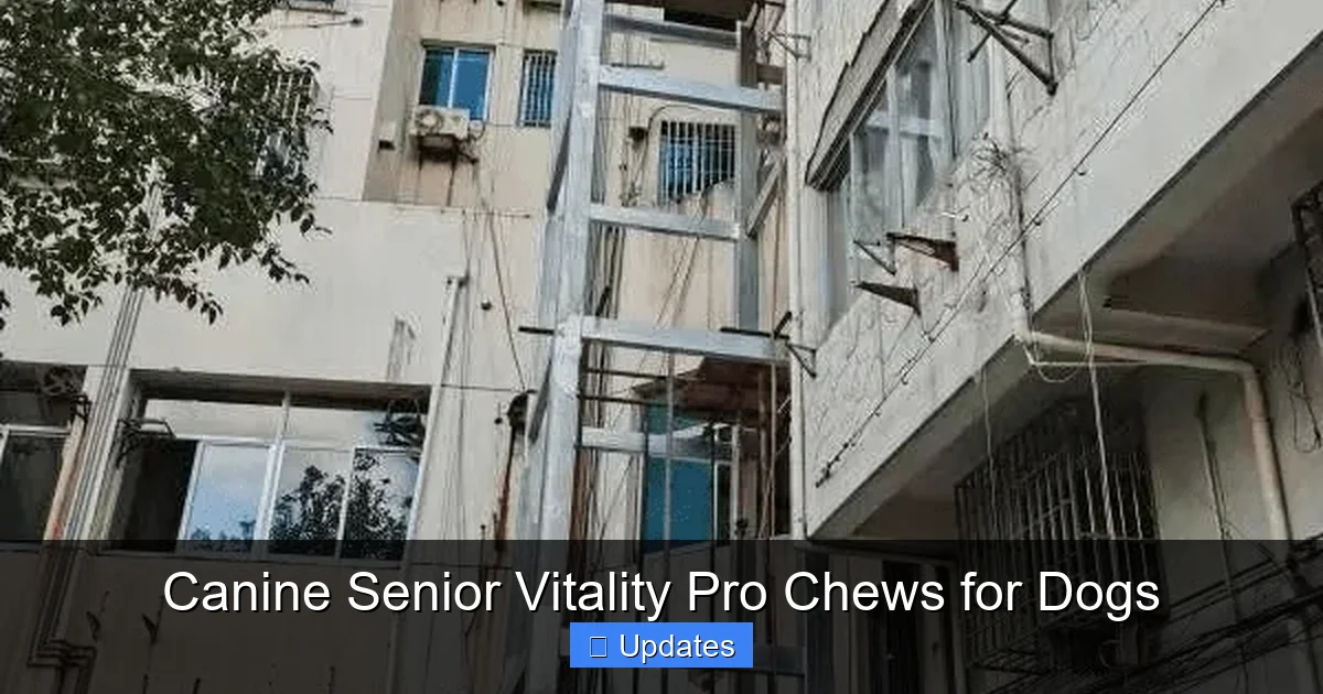 Canine Senior Vitality Pro Chews for Dogs