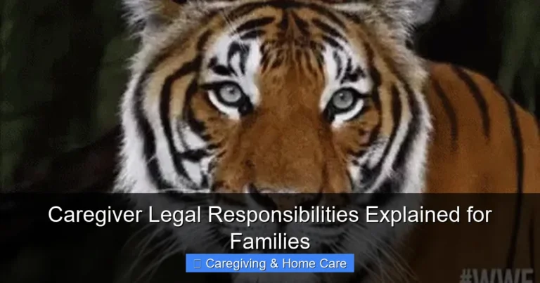 Caregiver Legal Responsibilities Explained for Families