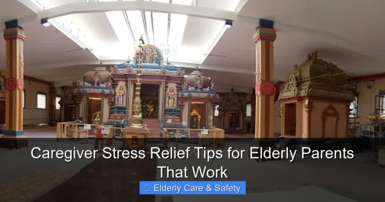 Caregiver Stress Relief Tips for Elderly Parents That Work