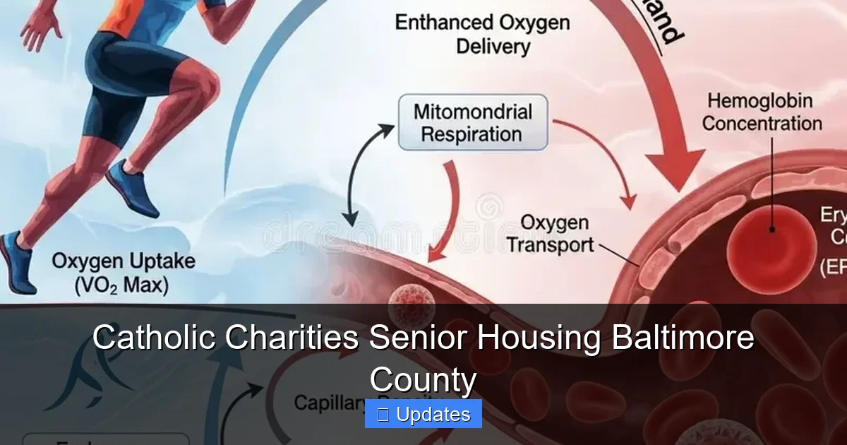 Catholic Charities Senior Housing Baltimore County